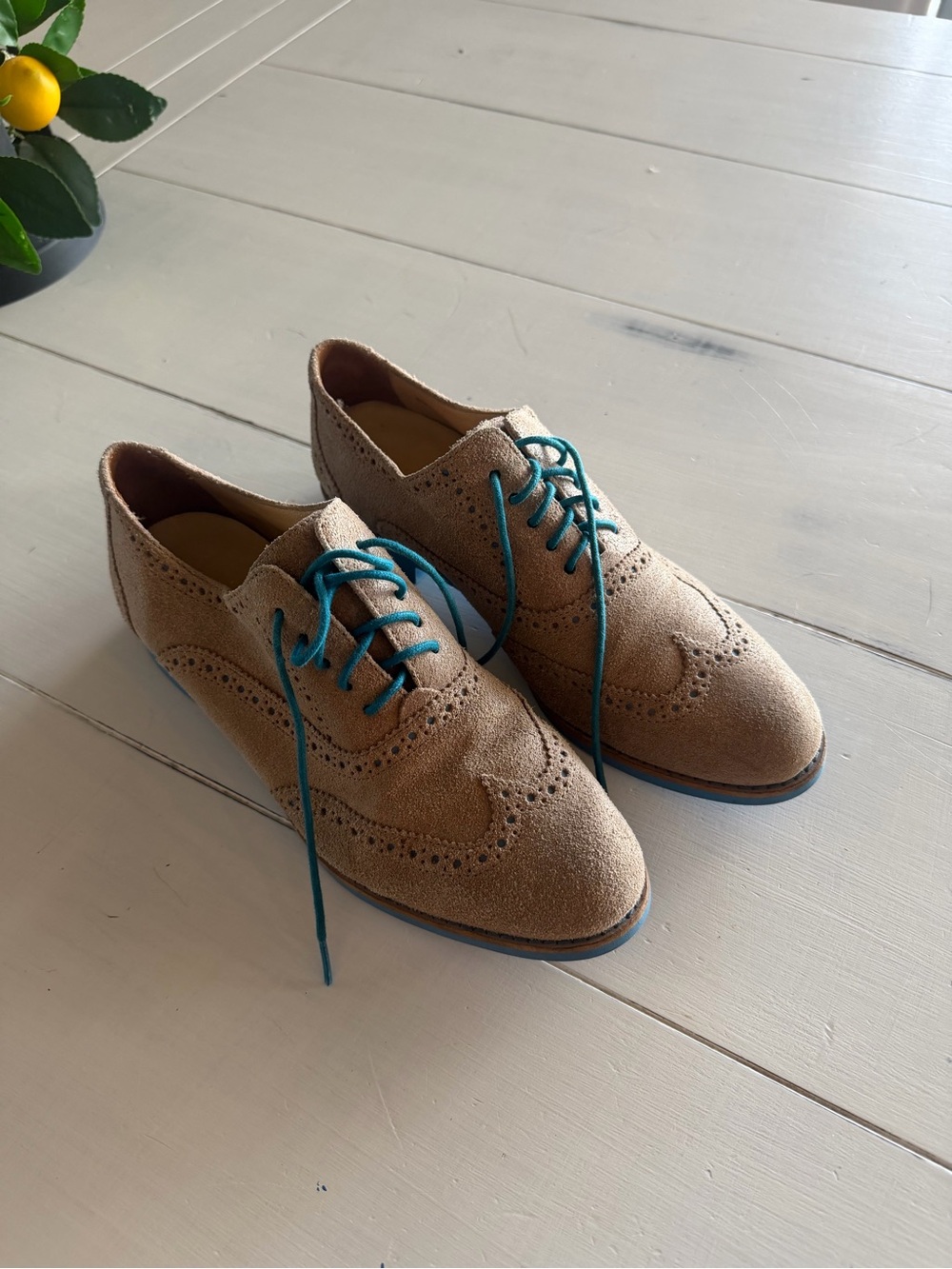 Cole Haan Alisa Women’s Suede Wingtip Oxfords Tan Teal Laces 7 Staple Office